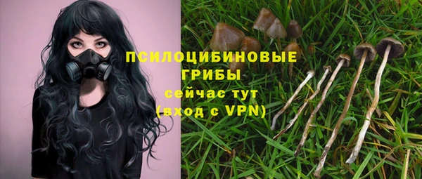кристаллы Верея