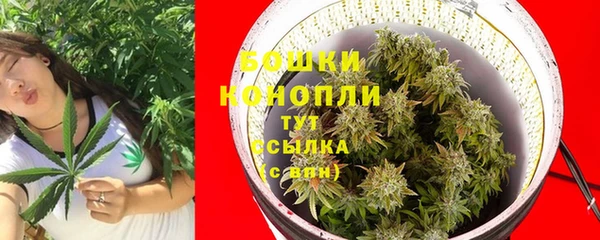 дурь Верхний Тагил